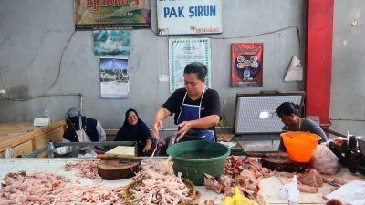 Harga Daging Ayam