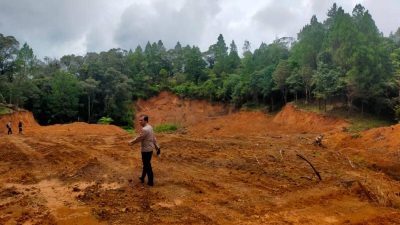 Kasus Illegal Logging