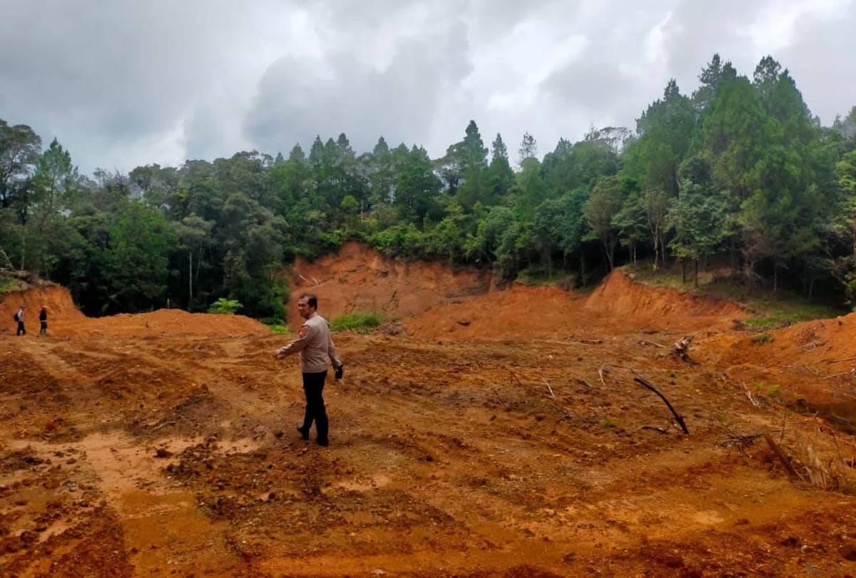 Kasus Illegal Logging