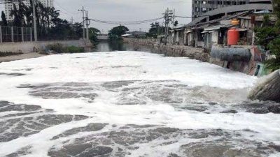 Sungai Bono Sidoarjo Berbusa