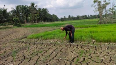 Polda Jabar Ungkap Dugaan